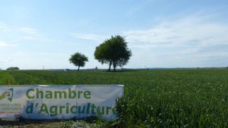 Le gouvernement a annoncé qu’il renonçait à réduire le budget des chambres d’agriculture moyennant des contreparties. © A. Cassigneul/GFA Le gouvernement a annoncé qu’il renonçait à réduire le budget des chambres d’agriculture moyennant des contreparties. © A. Cassigneul/GFA